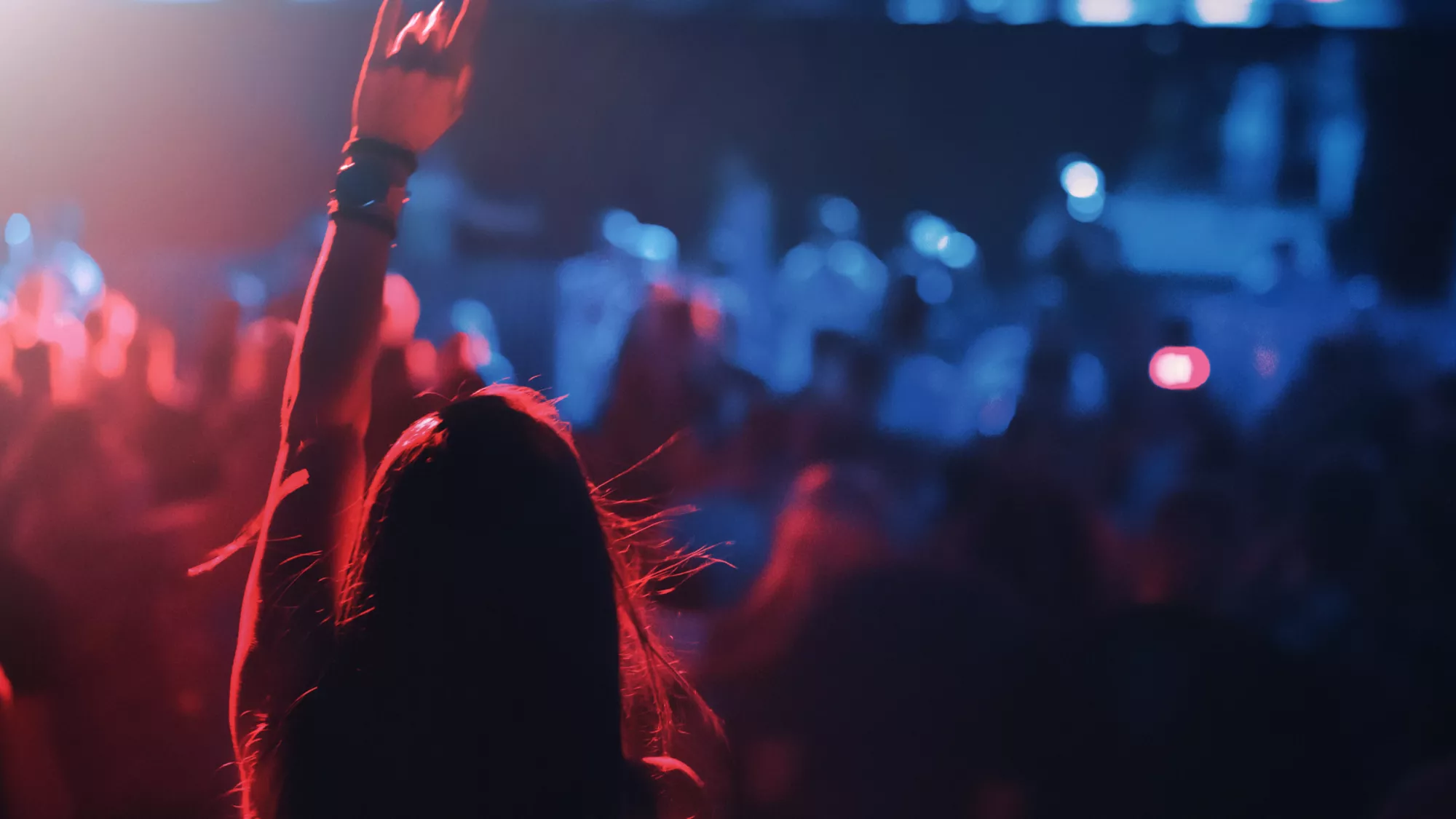 Audience at a concert